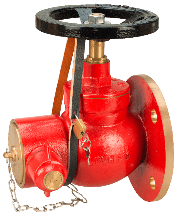 Wet Riser Plug Wet & Dry Risers - Viking EMEA