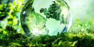 Fluorine Free Foam Systems