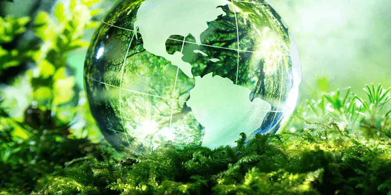 Fluorine Free Foam Systems